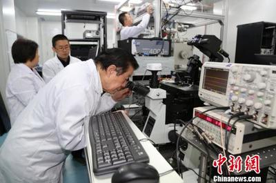 南京大學(xué)團(tuán)隊(duì)五年“錘煉”納級(jí)探針 刺入單細(xì)胞探索分子活動(dòng)